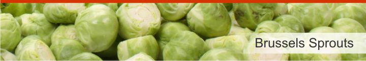 Image of Brussels sprouts from a list of 10 foods high in dietary fibre