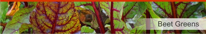 Image of beet greens from a list of 15 foods high in electrolytes for good hydration