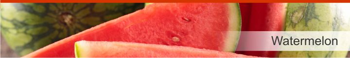 Image of watermelon from a list of 20 foods with a near zero calories count