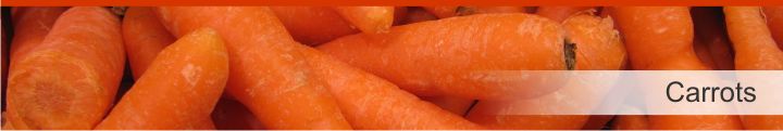 Image of carrots from a list of 20 foods with a near zero calories count