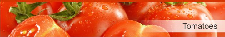 Image of tomatoes from a list of 20 foods with a near zero calories count