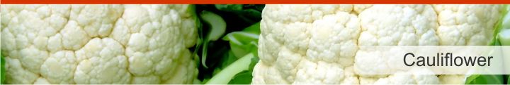 Image of cauliflower from a list of 20 foods with a near zero calories count