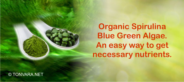 Organic Spirulina - the most nutritious and concentrated natural food on the planet?