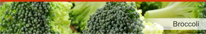 Image of broccoli from a list of 10 foods high in dietary fibre
