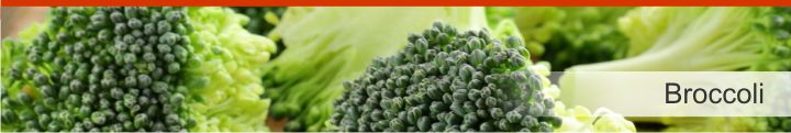 Image of broccoli from a list of 20 foods with a near zero calories count