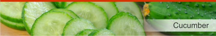 Image of cucumber from a list of 20 foods with a near zero calories count